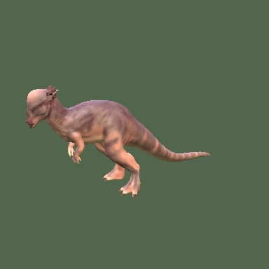 파키케팔로사우루스 3D 모델